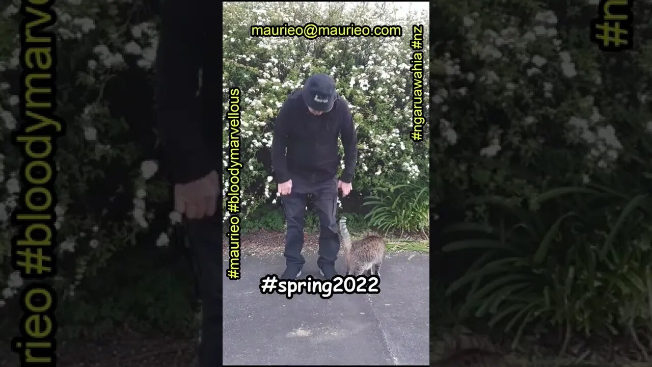 #maurieo #shorts SPRING 2022