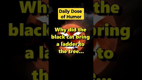 "Why did the black cat bring a ladder to the tree?" #shorts #Funny #Subscribe