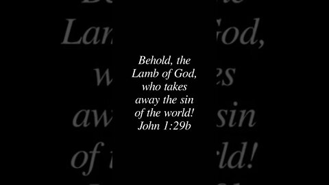 John 1:29b #lamb #God #sin #world #Bible #jesus #christian