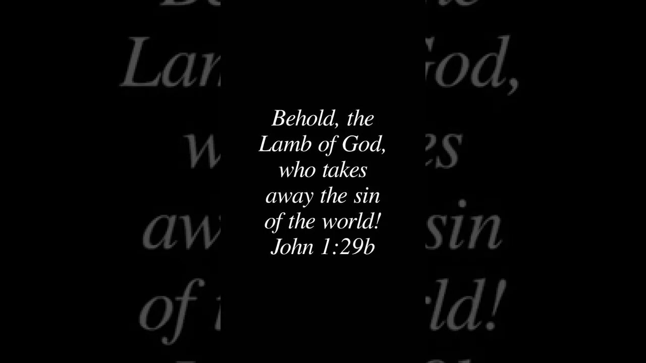 John 1:29b #lamb #God #sin #world #Bible #jesus #christian