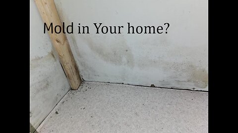 Mold in Your Home