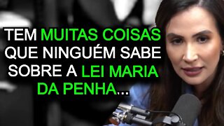 DELEGADA LUANA SOBRE LEI MARIA DA PENHA (Podpah) FlowPah Cortes