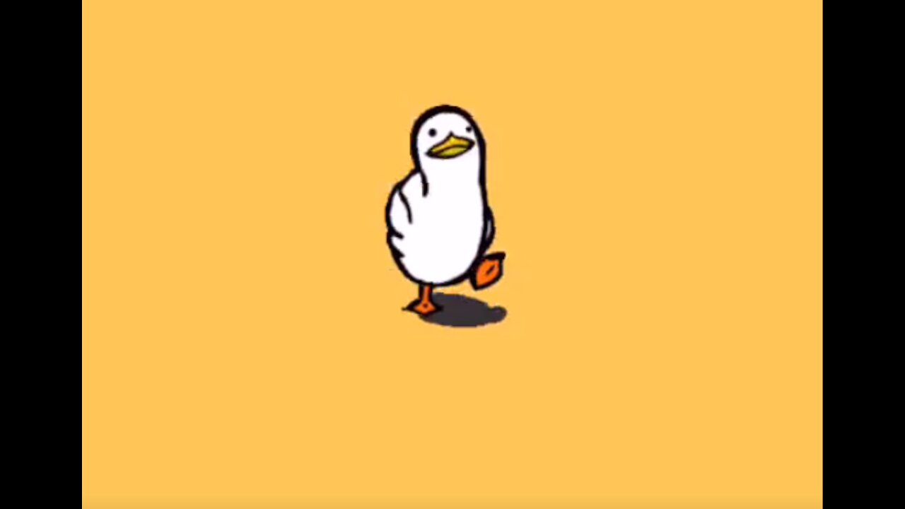 Funny Duck