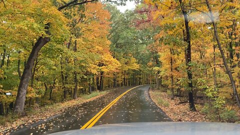 Early Fall Delight!