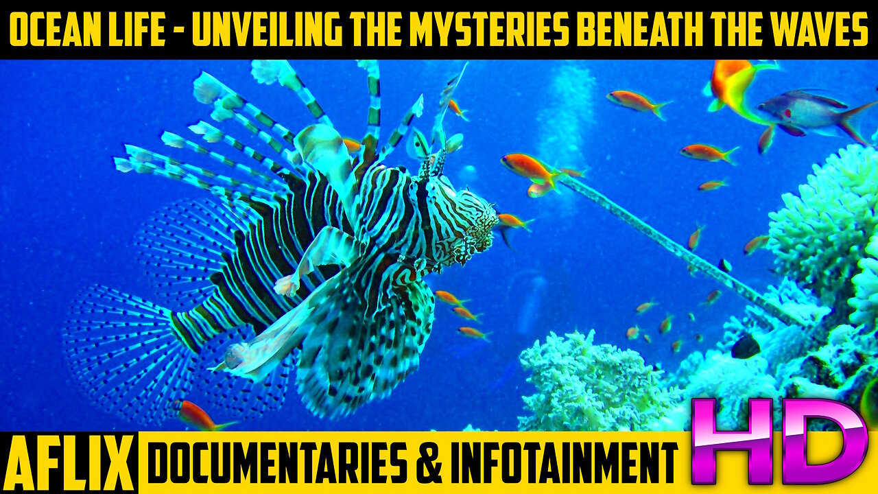 Ocean Life Documentary - Unveiling the Mysteries Beneath the Waves