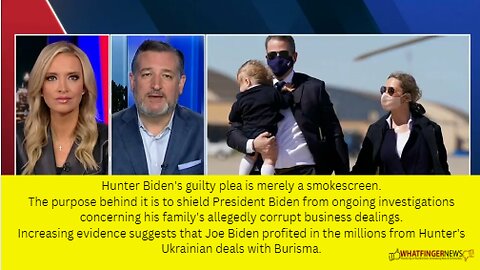 Hunter Biden's guilty plea is merely a smokescreen.