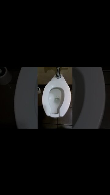 Kohler 1.6 GPF at Starbucks | TBrown0065 #shorts