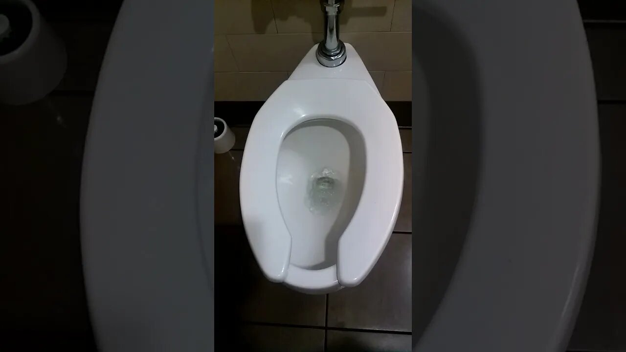 Kohler 1.6 GPF at Starbucks | TBrown0065 #shorts