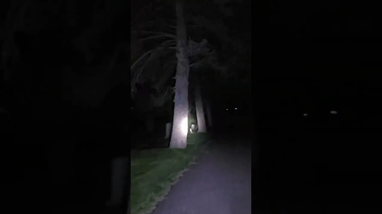 Ogden Utah Cemetery Investigation