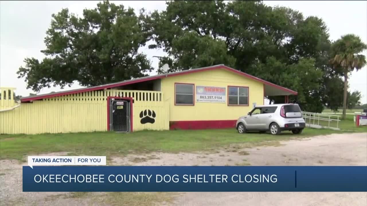 Florida no-kill animal shelter makes tough decision to shut down