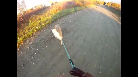 October 15th, 41º beautiful morning for Flynn and me to head North but Flynn doesn't deliver.