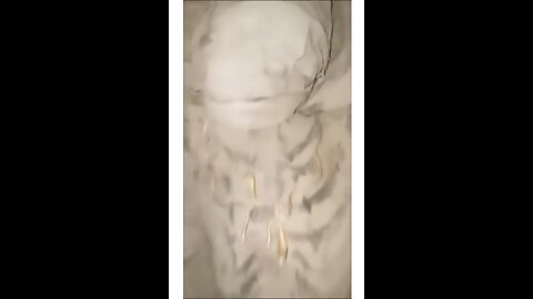 Iraqi disclosure (portal Nephilim)