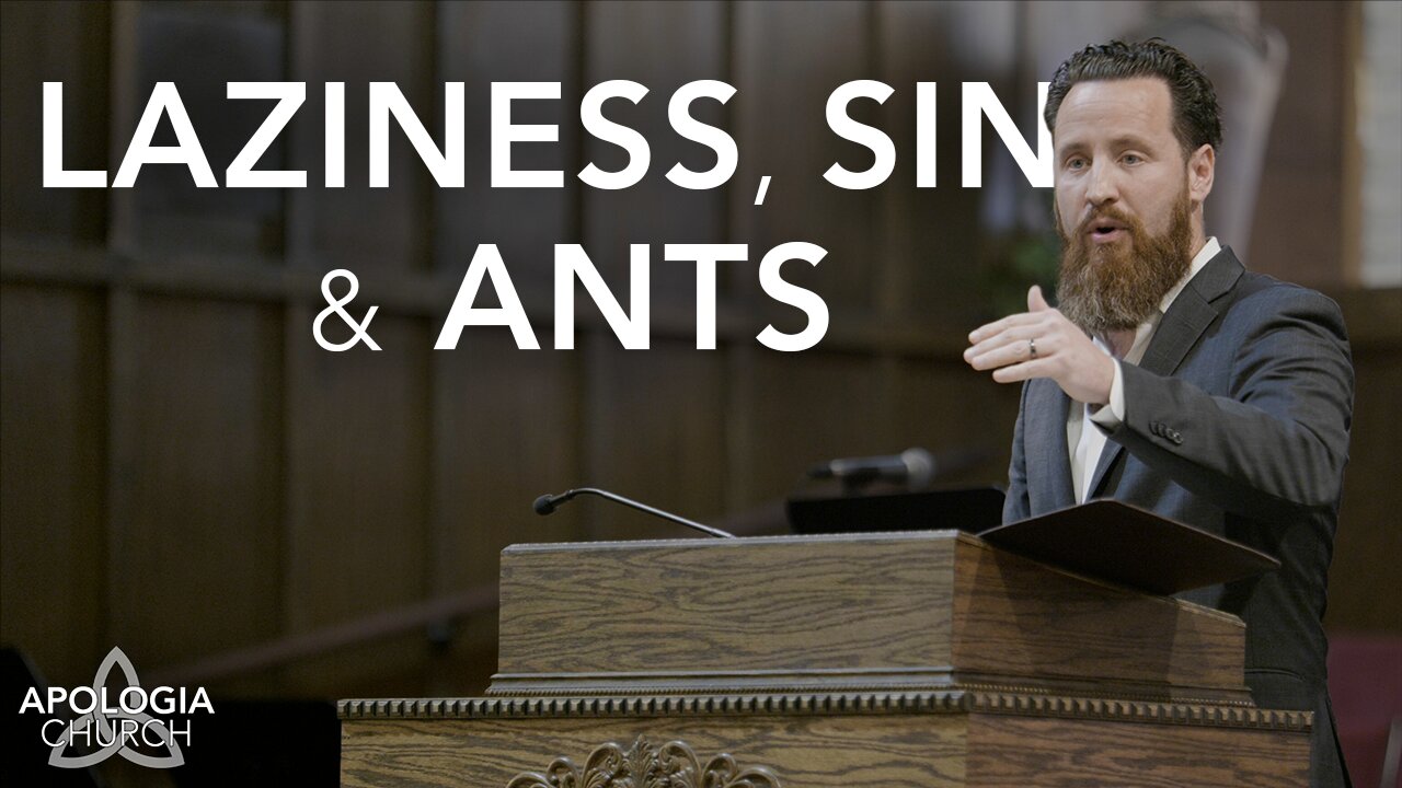 Laziness, Sin & Ants