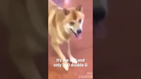 #shorts It's the one and only D-O double G