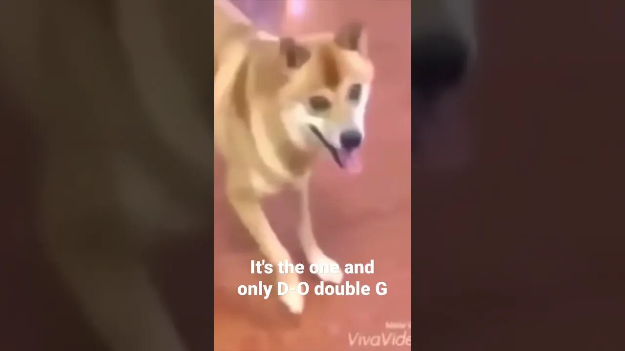 #shorts It's the one and only D-O double G