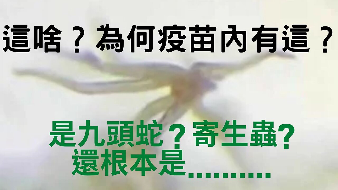 馬斯克抓佛奇？馬與川普比較、陸行程碼今下線、Kingston爆Huff假貨、疫苗體內生化武器、 Cole澄清喵內無氧化石墨烯晶片水螅、大師反駁、11月CPI、5G與台灣跳樓