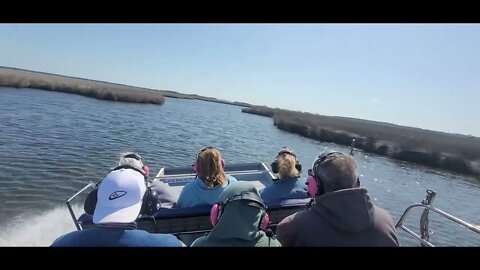 Outer Banks Adventures 4/28 Spurrier