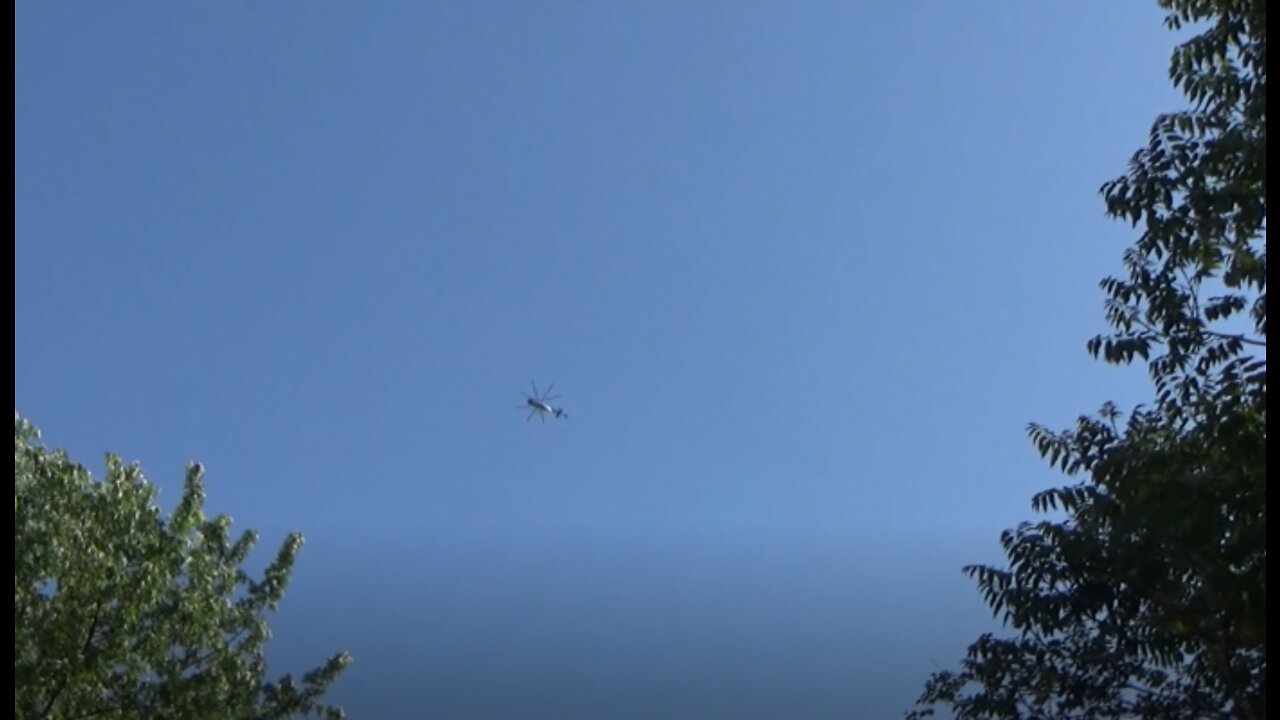 Looks like a bug or spider