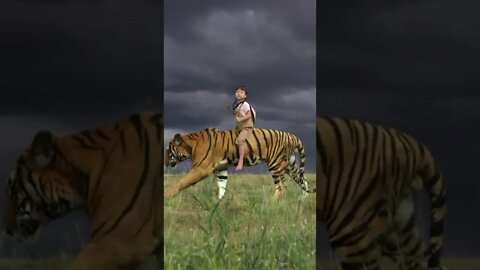 Baby riding a big cat shopping