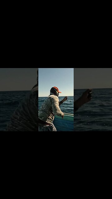 Hand lining Yellowfin Tuna #fishing