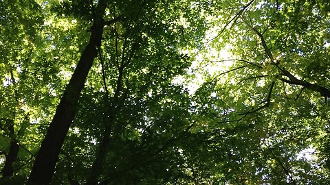 Upbeat Piano Jazz Playlist for Studying | Working | Relaxing