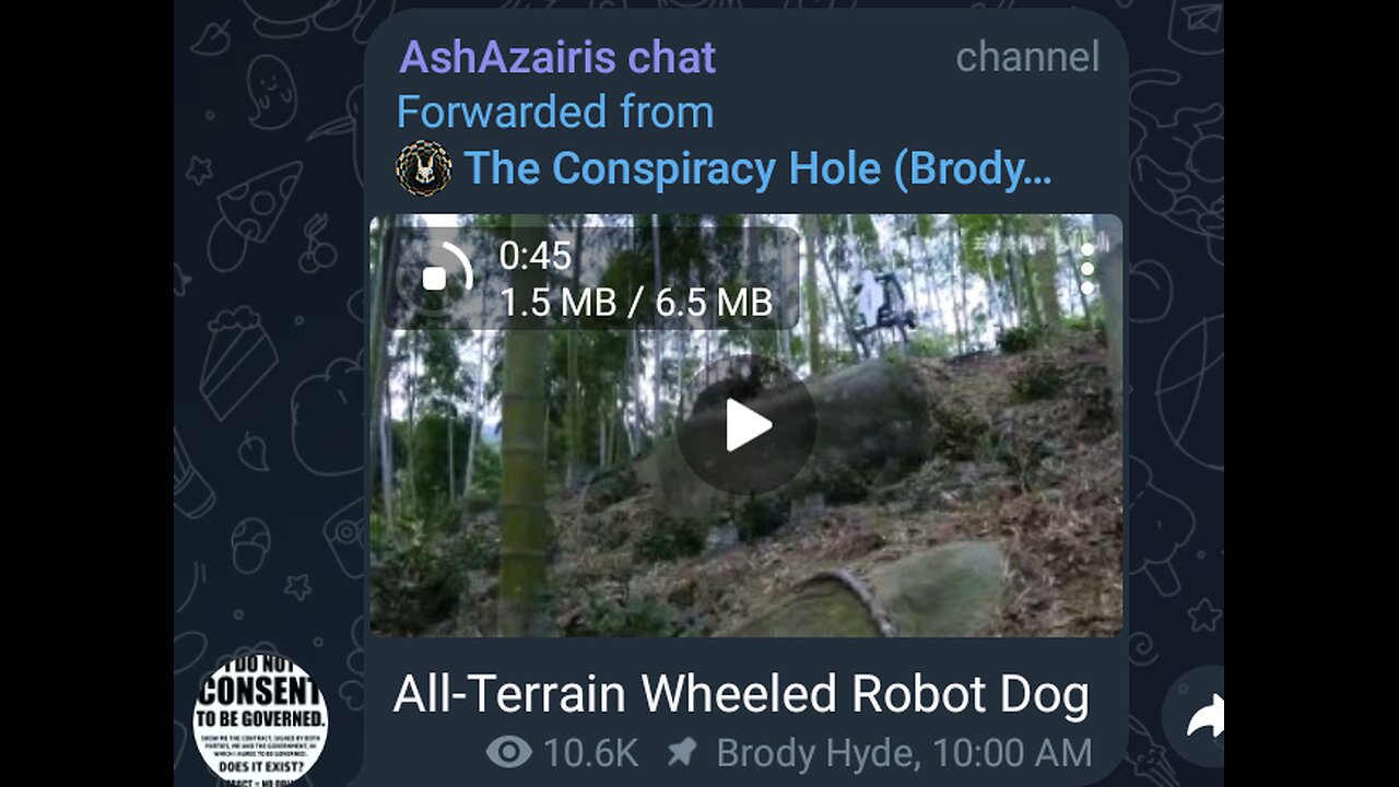 Documentary: All Terrain Wheeled Robot Dog