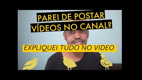 VOU PARAR DE POSTAR VIDEO NO CANAL? / VIVER DE CODORNA