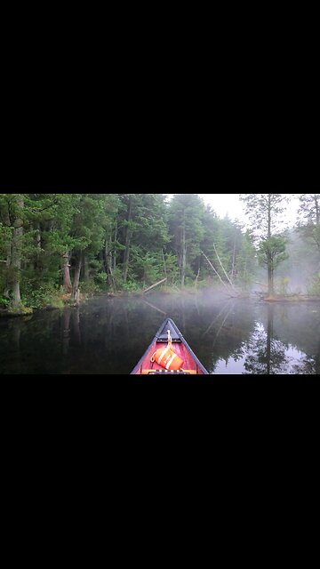 Morning Paddle at Bamber Lake short video