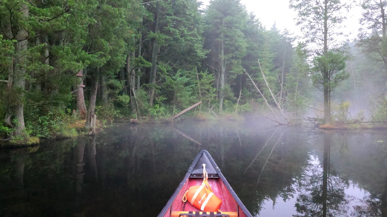 Morning Paddle at Bamber Lake short video