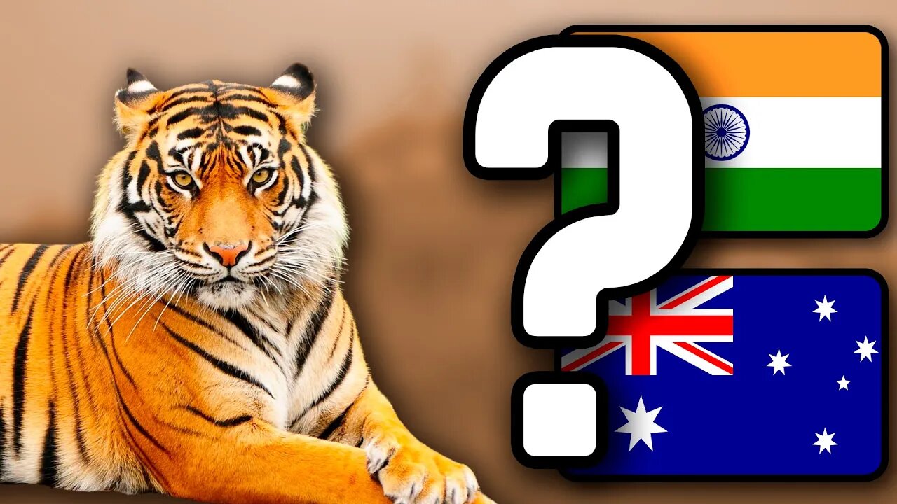 Guess The Country by The National Animal | Country Quiz Challenge