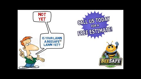 BeeSafe Video