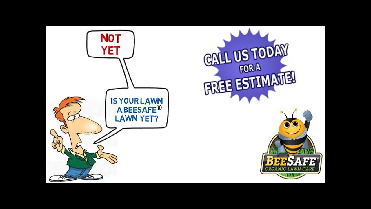 BeeSafe Video