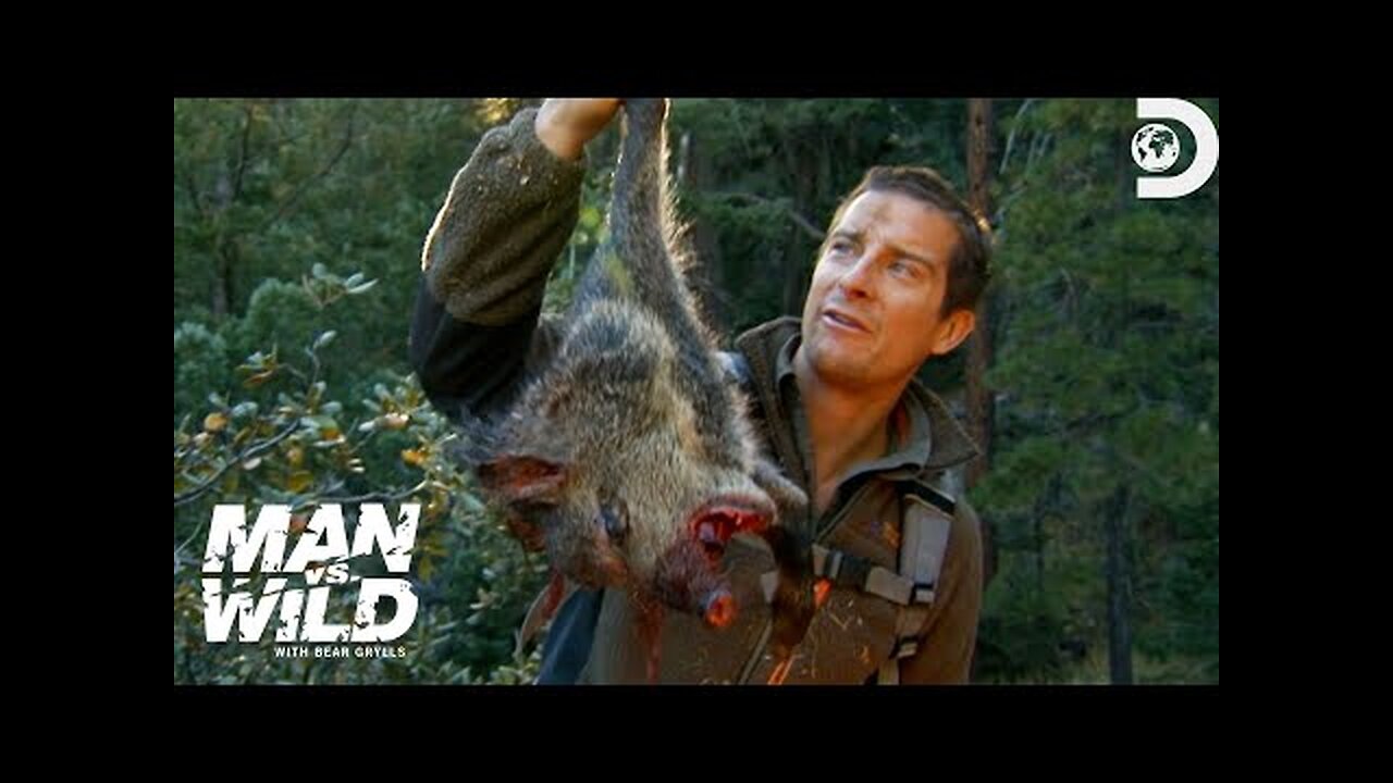 Bear Grylls' Jaw-Dropping Hunt for a Wild Pig _ Man Vs. Wild