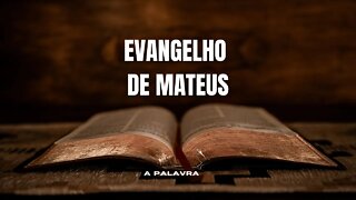 Bíblia Falada - EVANGELHO DE MATEUS Completo [Bíblia A Mensagem] #40