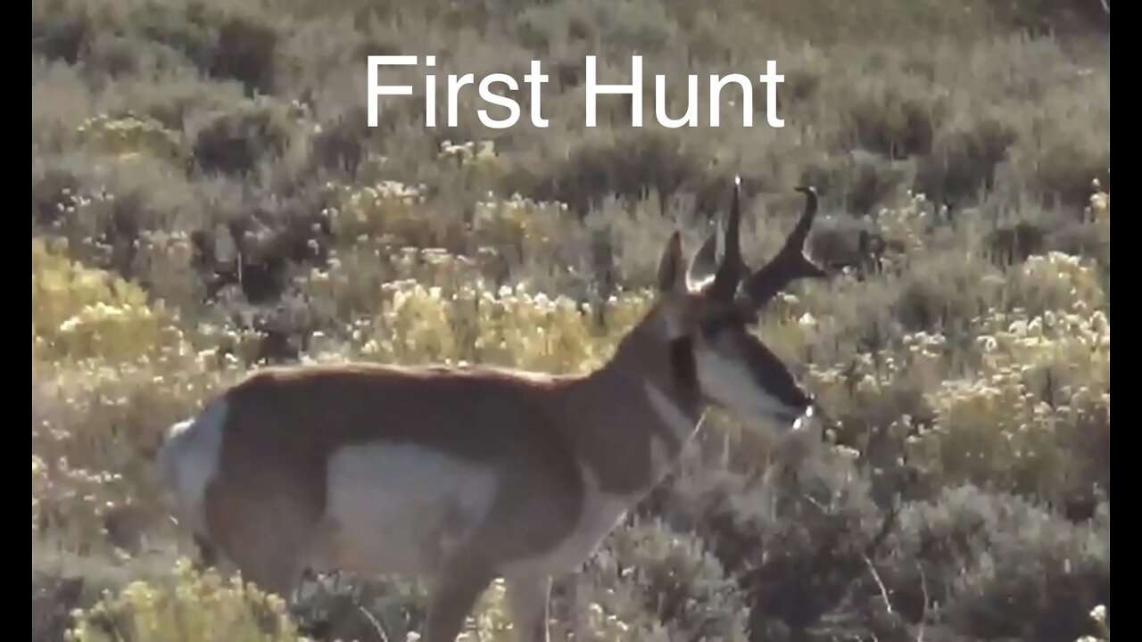 A First Hunt, WY Antelope