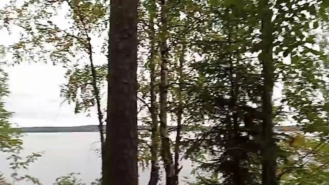 Монрепо Vyborg Russia 8/26/22