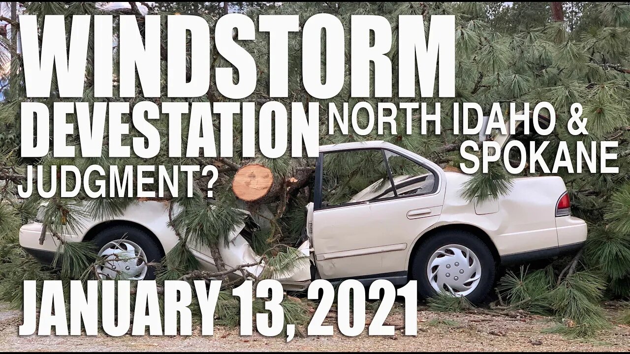 Windstorm Devastation | Jan. 13, 2021 | North Idaho College | Spokane, WA | Eye Witness