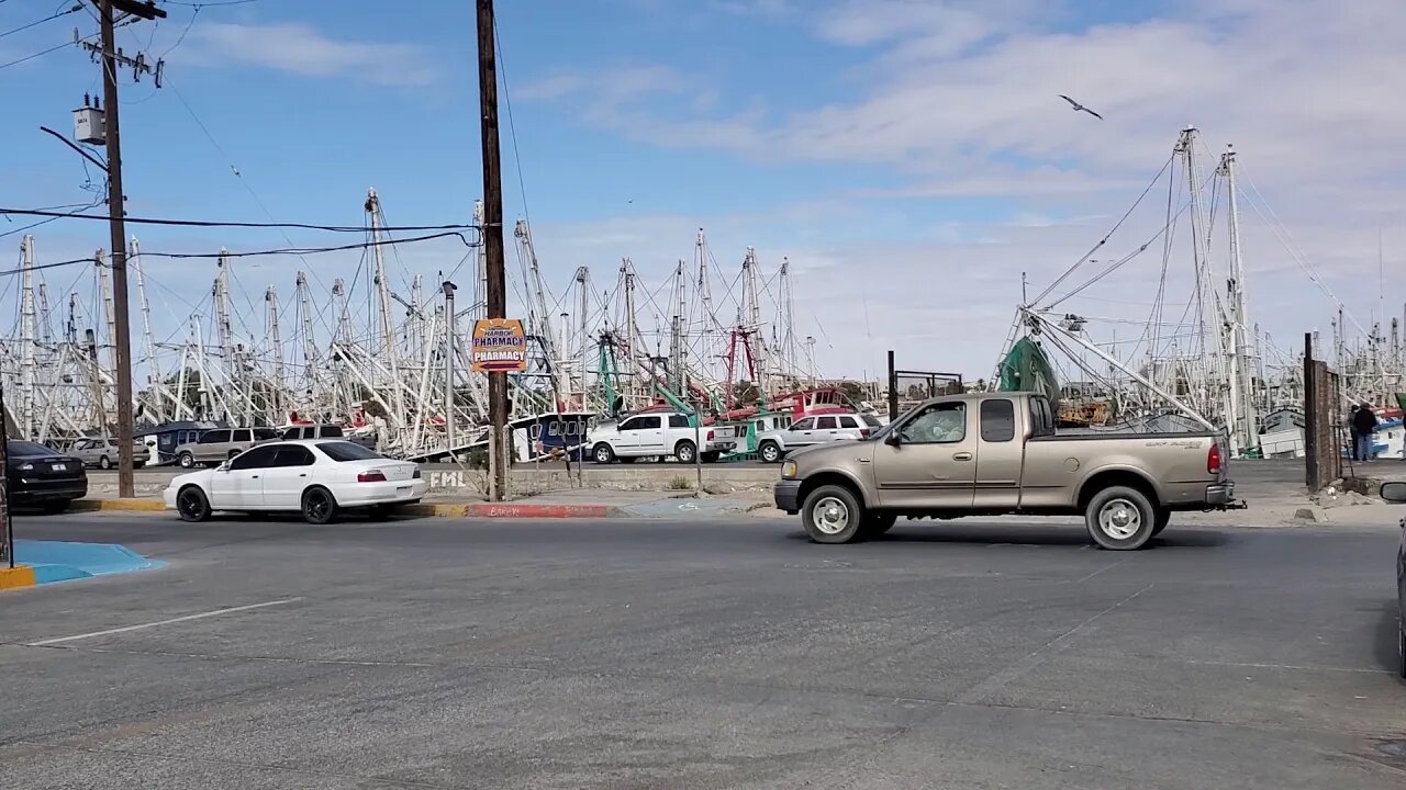 FISH 🐟 🐠 MARKET PUERTO PEÑASCO ESTADOS UNIDOS MEXICANOS 🇲🇽