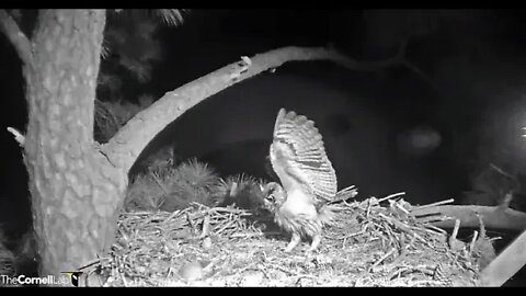 Mom Takes a Long Break 🦉 2/25/22 18:34