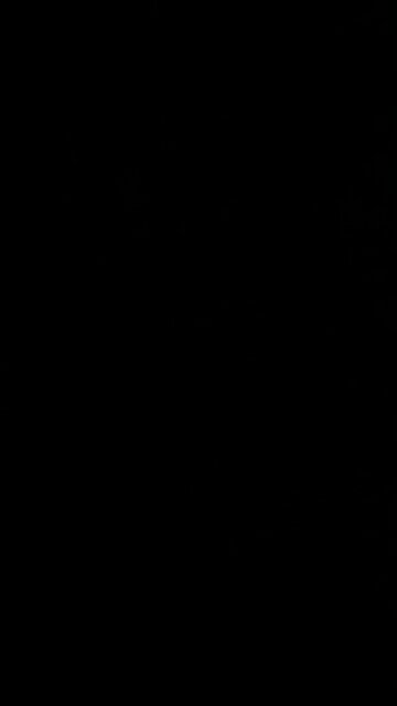 Corruptible president