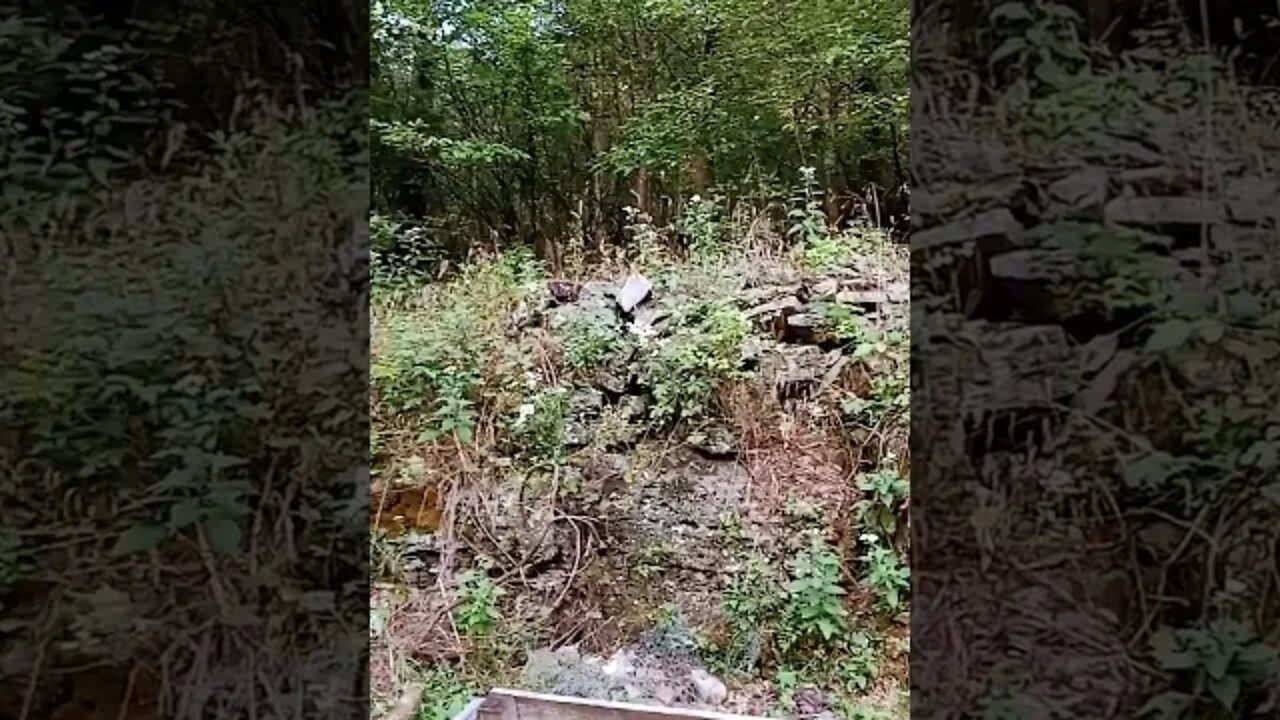 THE GREAT SPIRITS HAND