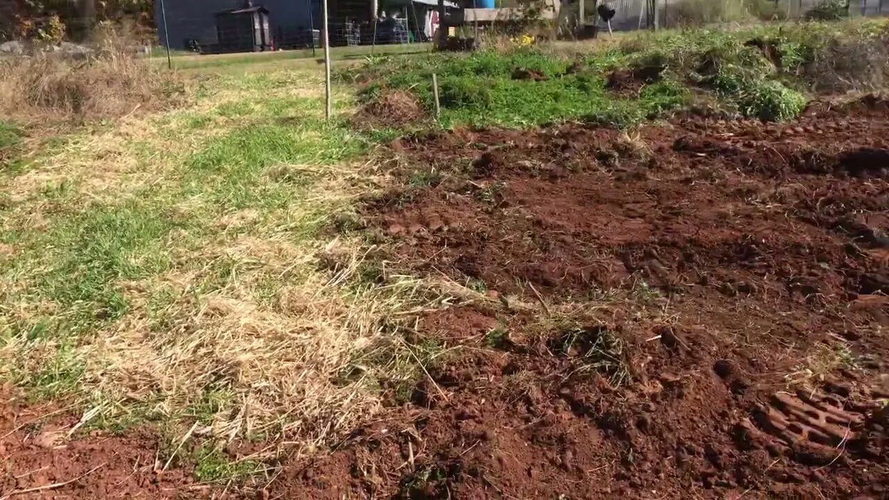 This is not the Virginia red clay you are looking for