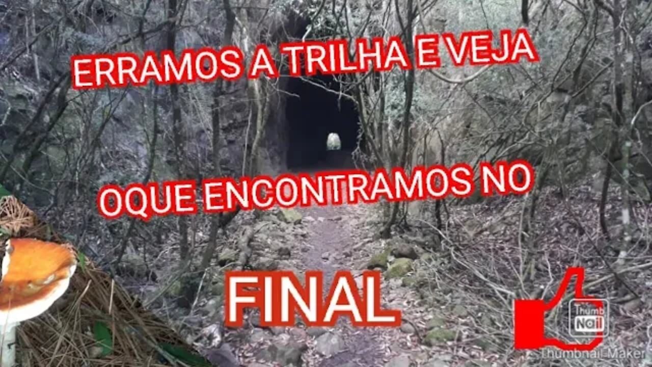 DETECTORISMO NA TRILHA DO ANTIGO TÚNEL