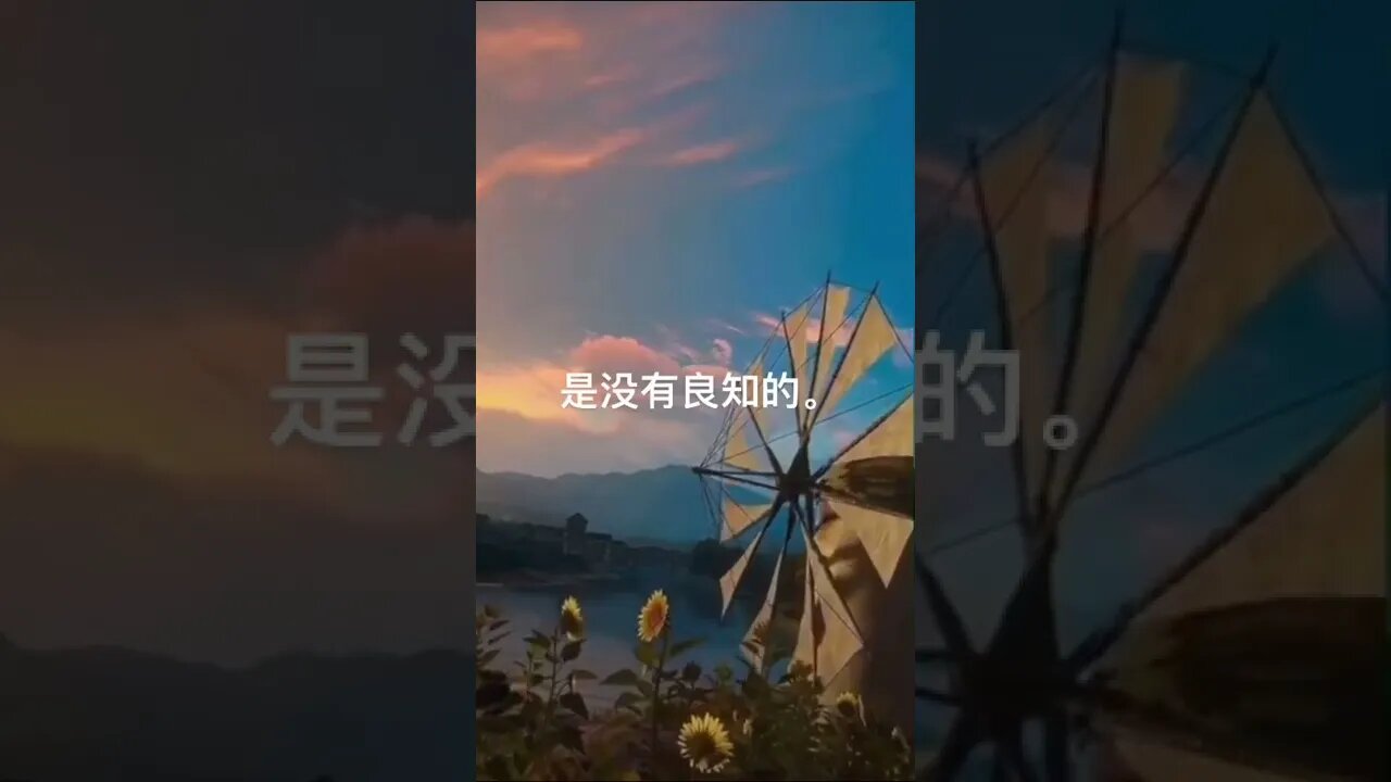 一句话开悟20220424