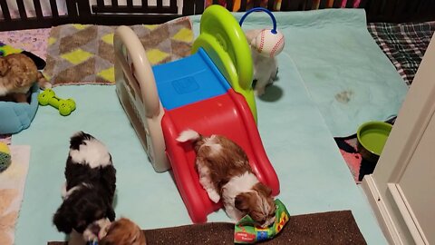 May 23rd...2 Days B4 Leaving(3)