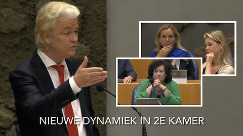 Gehaktdag! Wilders over je stukje vlees - Ouwehand (PVDD) doet lijp ​⁠