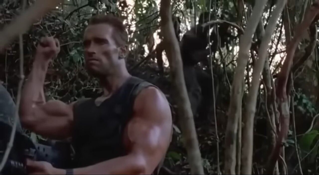 PREDITOR - Arnold Schwarzenegger