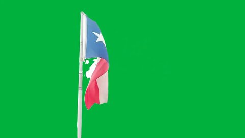 Green Screen Texas flag