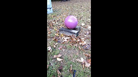 AR-15 vs bowling ball!