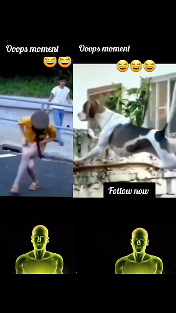 Dog or girl oops moment on road 😂😂 oops what a sen #short #rumbleshorts #birsl